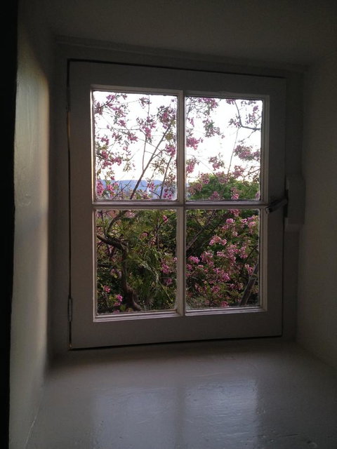 Blue Magnolia - Your Accommodation 36