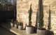 Stone Flower - thumb 10