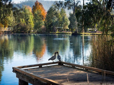 Peppers Marysville - Your Accommodation 12