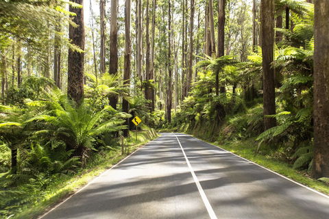 Peppers Marysville - Your Accommodation 21