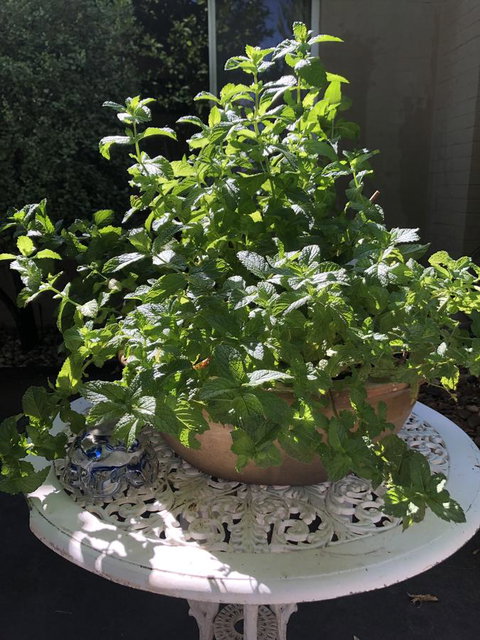 Flora Hill Creek Views - Your Accommodation 11