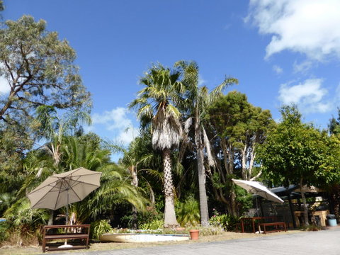 The Balnarring Motel - Your Accommodation 8