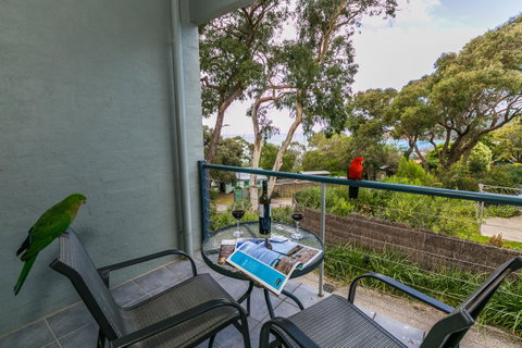 Lorne Surf Apartments - Your Accommodation 21