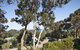 Lorne Surf Apartments - thumb 11
