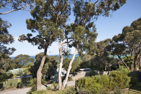 Lorne Surf Apartments - Your Accommodation 11
