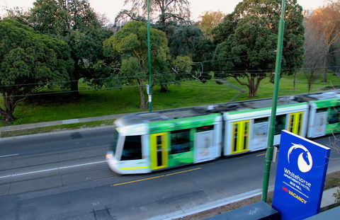 Whitehorse Apartments Hotel - Your Accommodation 13