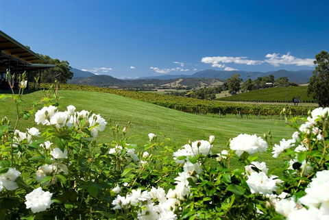 Balgownie Estate Yarra Valley - Your Accommodation 36