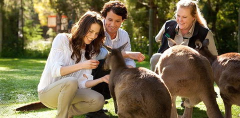 Balgownie Estate Yarra Valley - Your Accommodation 10