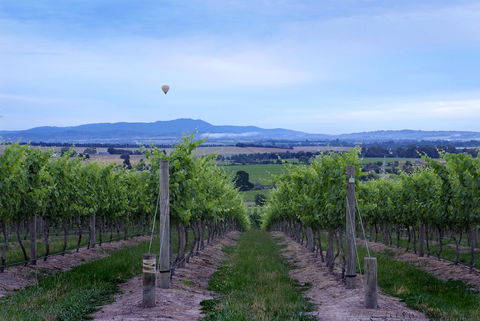 Balgownie Estate Yarra Valley - Your Accommodation 37