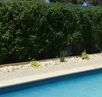 Robinvale Bridge Motel - Your Accommodation
