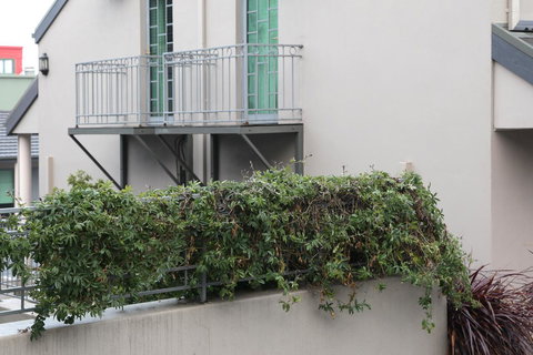 Quality Inn & Suites The Menzies - Your Accommodation 23