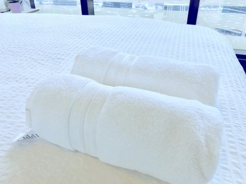 Brilliant Victoria Harbour Waterfront - Your Accommodation 15