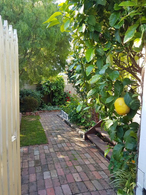 Healesville House - Fig Tree House - Your Accommodation 17