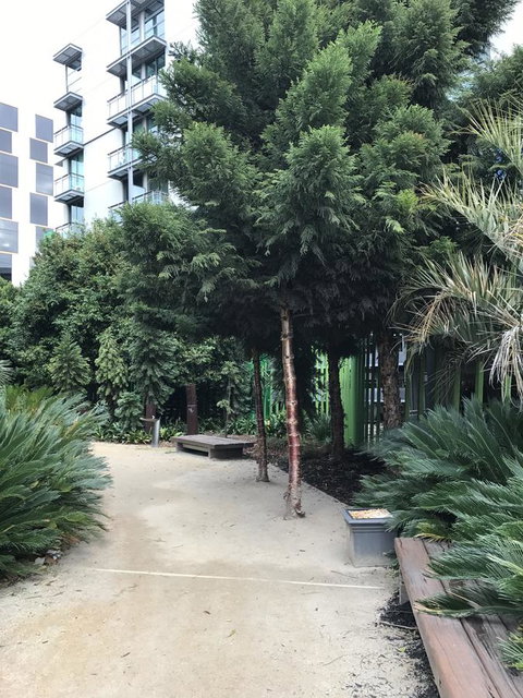 Docklands Private Collection - City Harbour Apartments - Your Accommodation 35