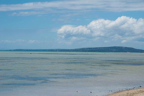 Jettycove Beach House - Your Accommodation 20