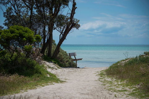 Jettycove Beach House - Your Accommodation 26