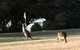 Lakeside At Mallacoota - thumb 37