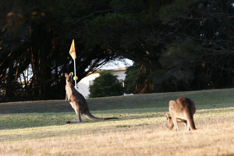 Lakeside At Mallacoota - Your Accommodation 37