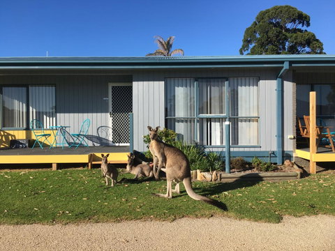 Lakeside At Mallacoota - Your Accommodation 15