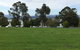 Lakeside At Mallacoota - thumb 22