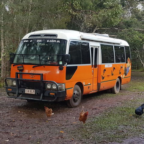 The Cabin - Your Accommodation 3