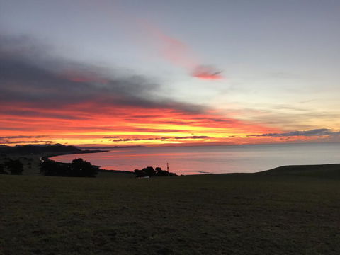 The Cove Tasmania - Your Accommodation 1