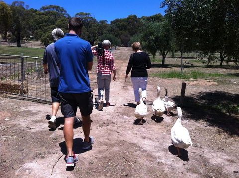 The Farm Willunga - Your Accommodation 1