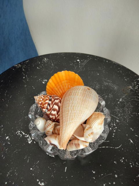 THE QUEENSLANDER MOTEL - Your Accommodation 3