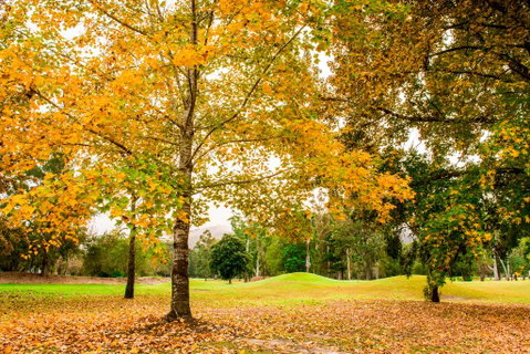The Retreat At Wisemans - Your Accommodation 1
