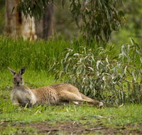 The Stirling Golf Club - Your Accommodation