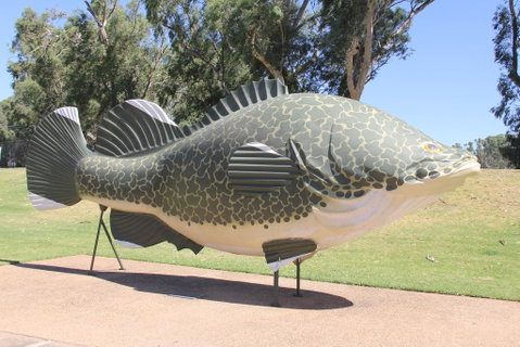 Tocumwal Hotel Motel (The Palms) - Your Accommodation 1