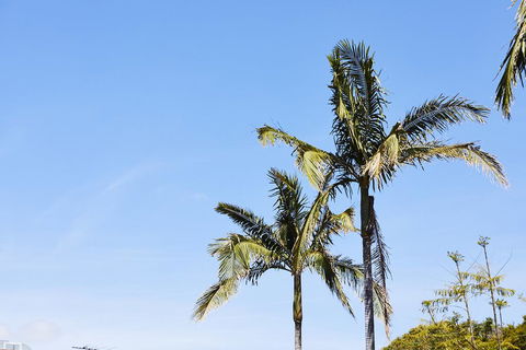 Town And Country Motel - Your Accommodation 1