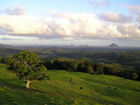 Book Maleny Accommodation Vacations Your Accommodation Your Accommodation