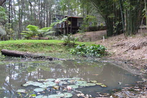 Turmeric Gardens - Your Accommodation 3