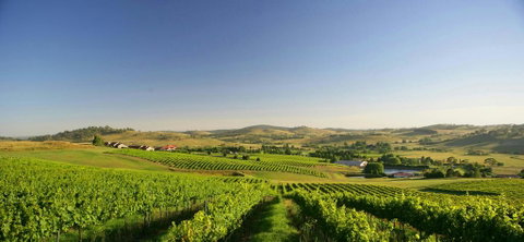 Turners Vineyard Motel - Your Accommodation 0
