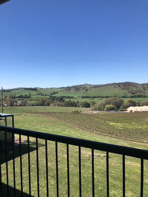 Turners Vineyard Motel - Your Accommodation 2