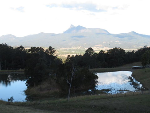 Tyalgum Ridge Retreat - Your Accommodation 1