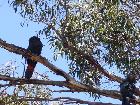 Wanderers Rest Of Kangaroo Island - Your Accommodation 2