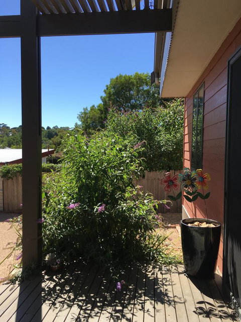 Daydream Cottage - Your Accommodation 10