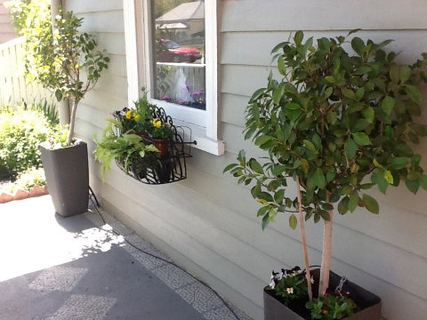 Redruth Cottage - Your Accommodation 19