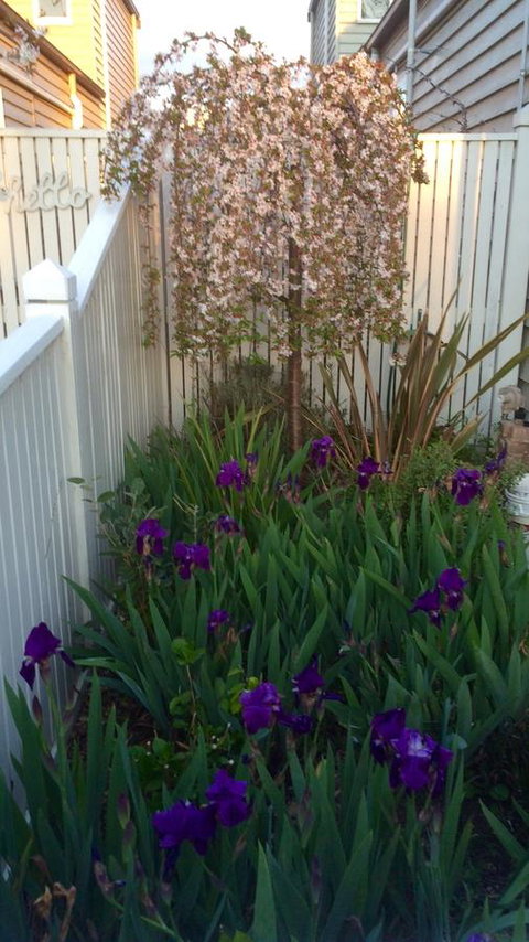 Redruth Cottage - Your Accommodation 24