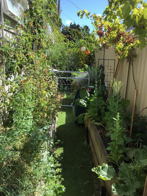 Redruth Cottage - Your Accommodation 7