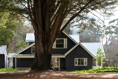 The Orchard - Your Accommodation 0