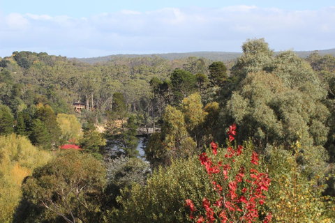 The Orchard - Your Accommodation 28