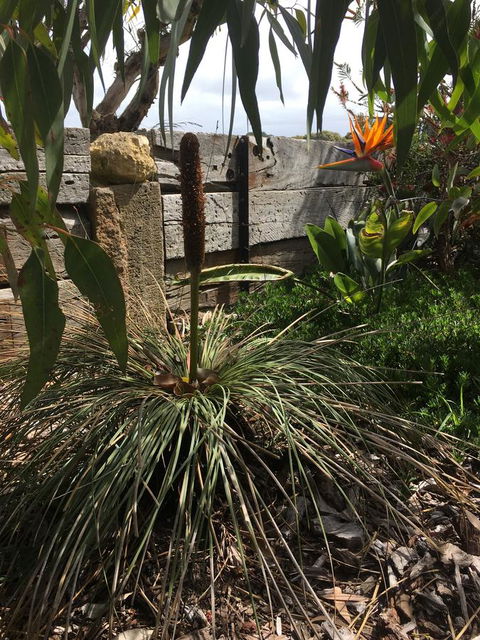 The PC Cottage - Your Accommodation 32