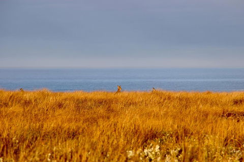 The PC Cottage - Your Accommodation 39