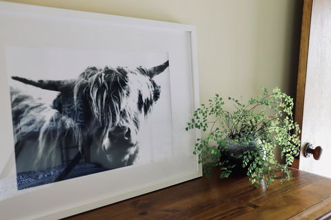 Red Ceder Cottage - Great Ocean Road - Port Campbell - Your Accommodation 5