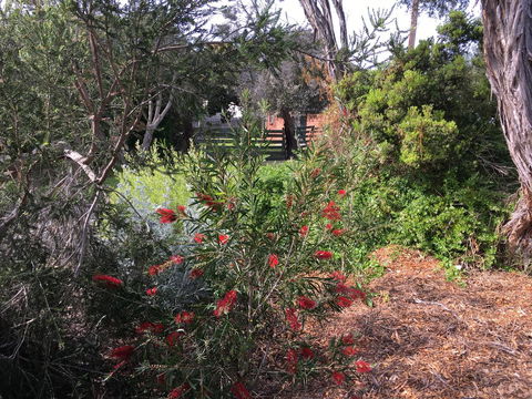Andrew's On Topaz - Your Accommodation 1