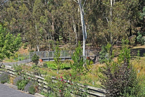 Main Lead Ballarat Motel - Your Accommodation 5
