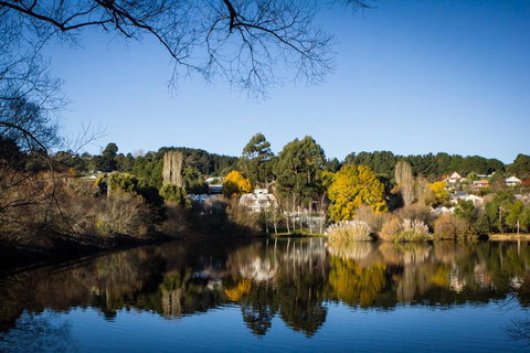 Chestnut Daylesford - Your Accommodation 14